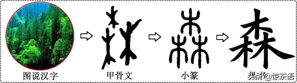 会意字大全古文字中的会意字