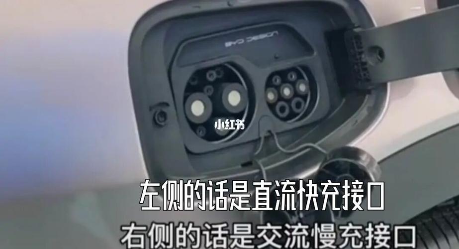 比亚迪海豚98#充电器_比亚迪_海豚_充电器_海豚怎么