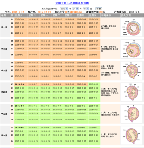 怀孕周期表_计算器_天数计算_孕妇计算器_预产期计算