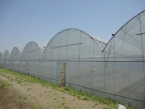 连体大棚