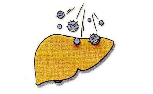 科学认识警惕慢性肝病"三部曲"