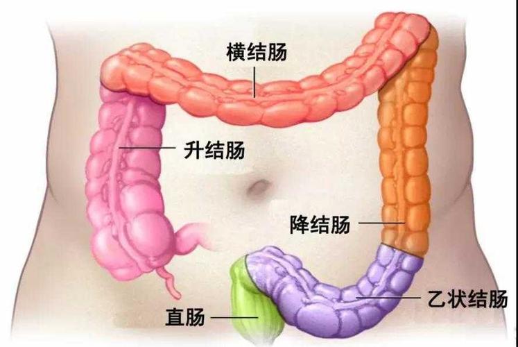 29岁就得了肠癌结直肠肿瘤正在偷袭年轻人