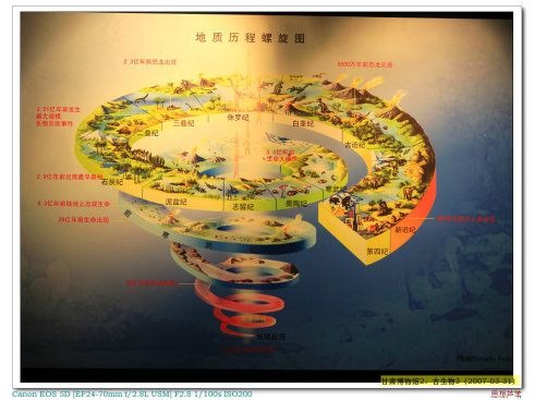 化石厅展出部分甘肃发现的化石,古生物年代的划分及化石形成的历史