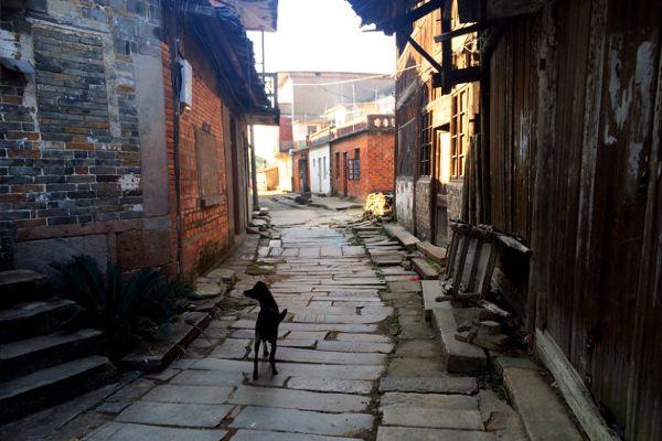 江南小镇忆流年 吴城古镇一日行攻略