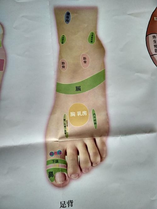 遍捏趾缝抖足趾,每