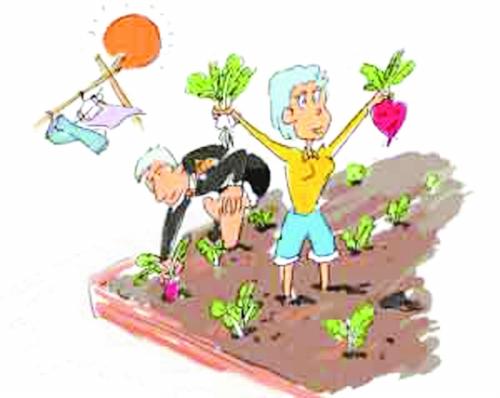 幼儿简笔画种菜