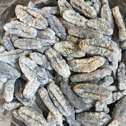 1件包邮 批猪婆参 猪母参 黑参淡干海参干货海鲜海味250克约9头