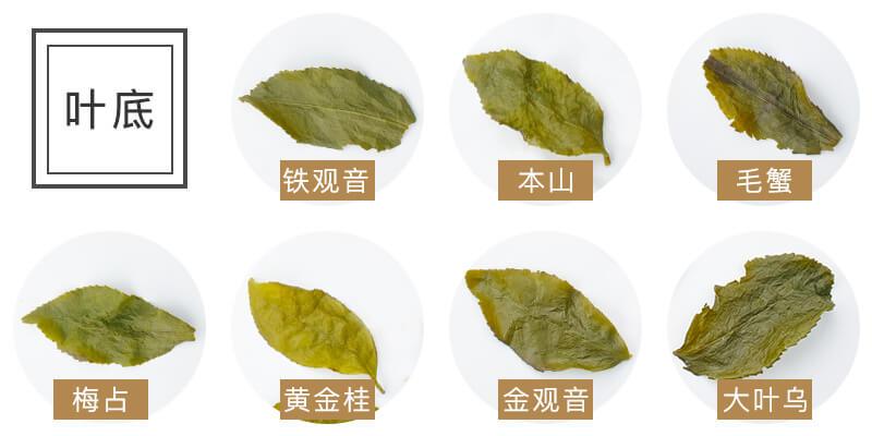 老侯教您五招分辨铁观音与色种