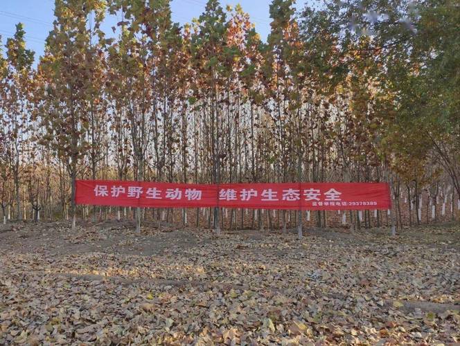 【工作简讯】东蒲洼街道开展野生动物保护宣传工作