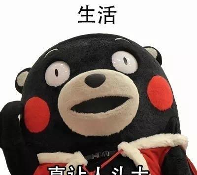 表情包|这么多真叫人头疼的东西,生活好艰难