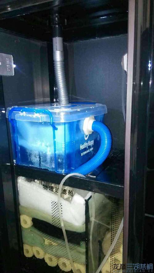 自制底滤干湿分离!