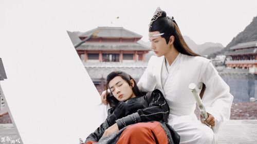 肖战 王一博魏无羡 蓝忘机陈情令