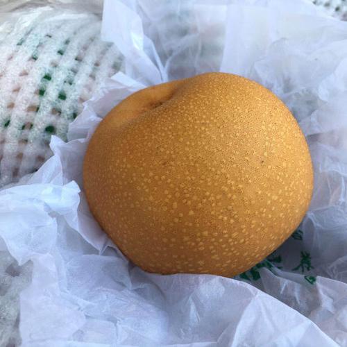 【羊脂秋玉梨】
