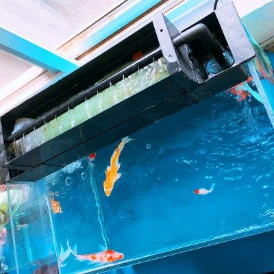 上滤鱼缸滤材摆放图 上滤滤材摆放顺序图_上滤放什么滤材