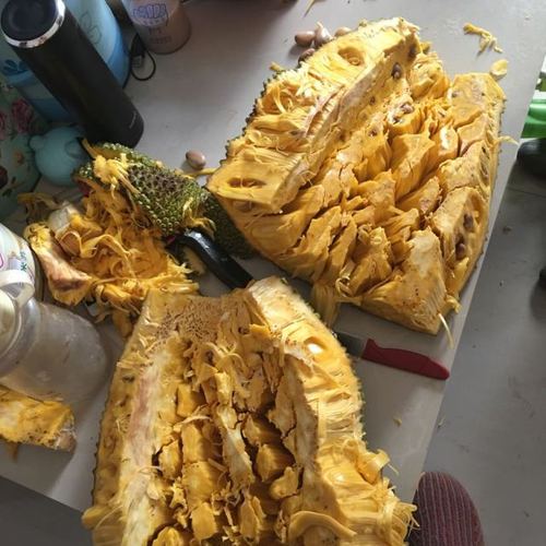 七果果菠萝蜜1个约18斤产发qq