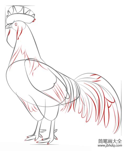 如何画公鸡