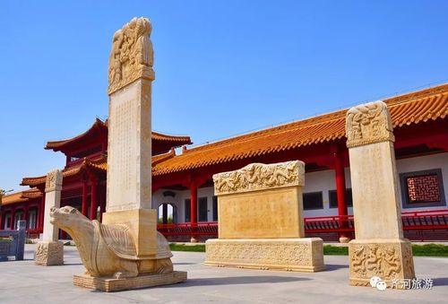 齐河,亲眼看见的才是属于你的最美风景!