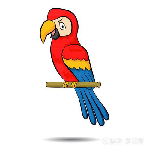 一个可爱的动画片的向量例证三色鹦鹉在分支为设计元素