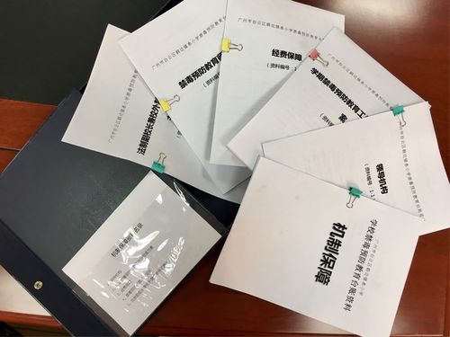 鹤边镇泰小学完成禁毒工作台账资料整理