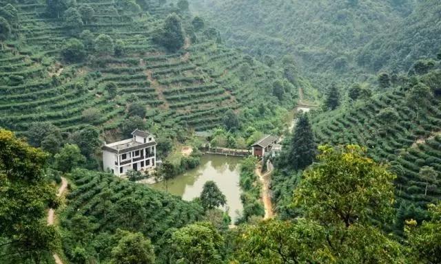 茶船古道寻迹·境外行①:一条蜿蜒的河道,在悠悠岁月