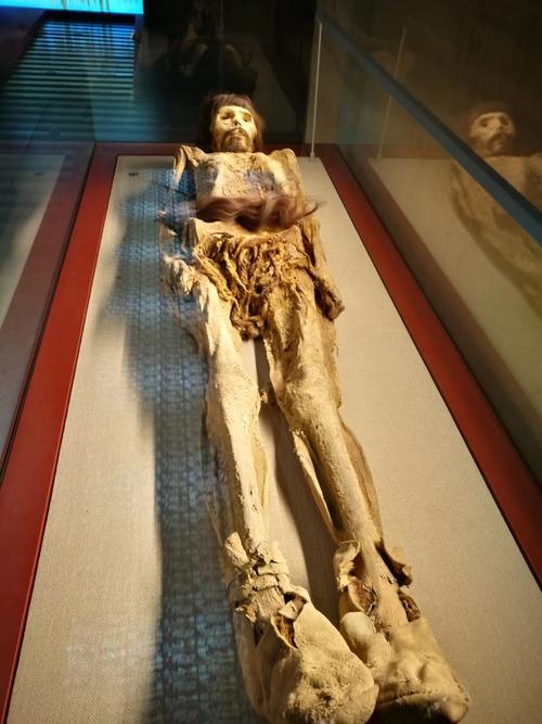 最久远的干尸3800以前:楼兰美女