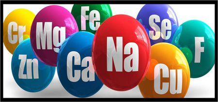 高中生物中的无机盐的作用