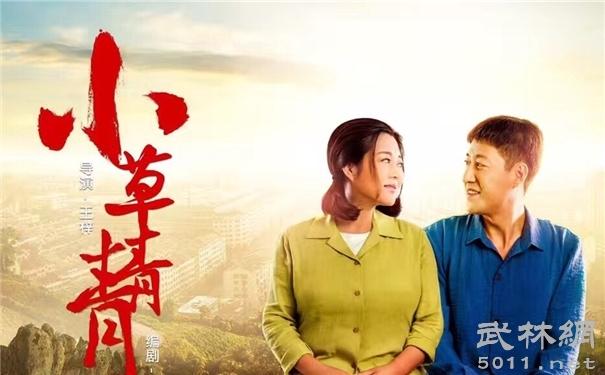 小草青青电视剧全集