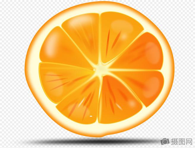 橘子剖面图