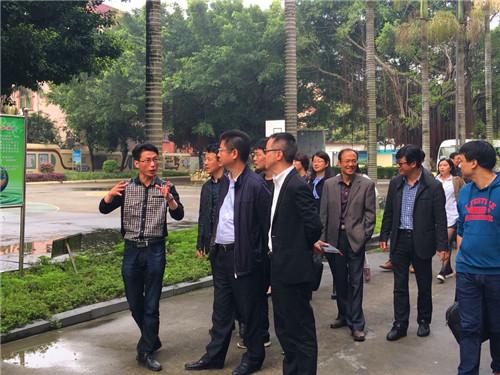 福清市领导到龙山教育集团调研