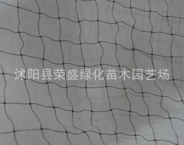 零售 麻雀网 斑鸠网 画眉网 粘鸟网 防鸟网 规格齐全
