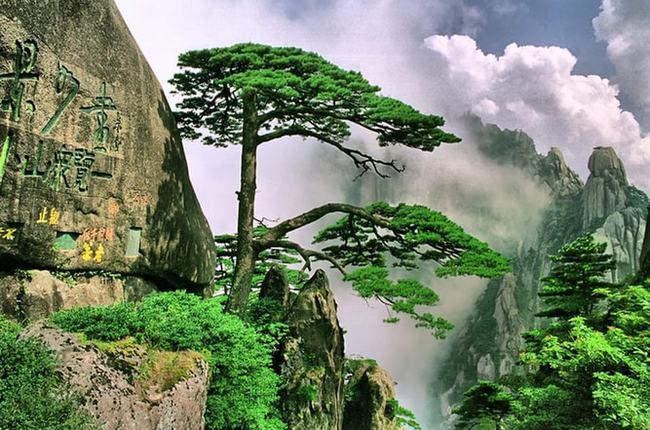 安徽黄山:让徽学之光璀璨世界文明的星空|徽州|黄山市