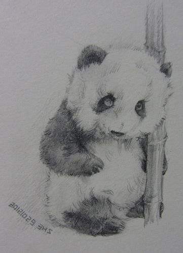 肌肉练习之尼古拉斯凯奇篇(附上可爱小熊猫)