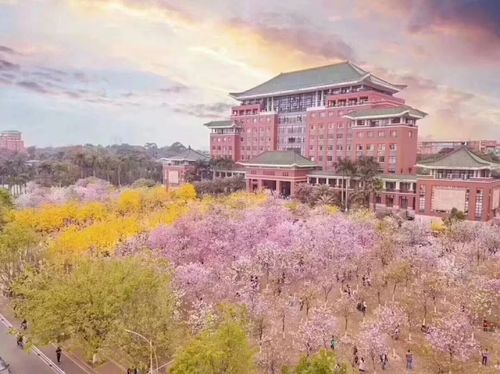 数以千计的萌物正向涌向华农,当紫荆花遇上它们会碰撞