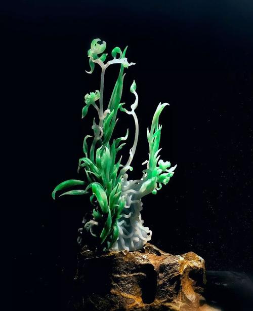 系教师;德宏师范高等专科学校理工系客座教授;广州美术学院玉雕实验室