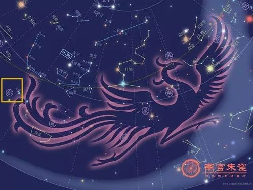 周天二十八星宿之朱雀七宿|轸宿