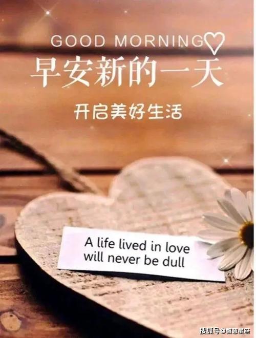 原创2021牛年最新漂亮群发早安图片动态表情最美早上好鲜花图片带字