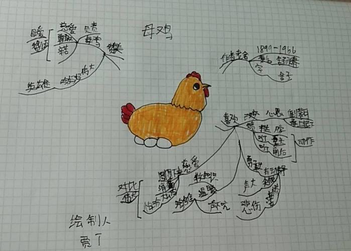 四年四班《母鸡》思维导图集