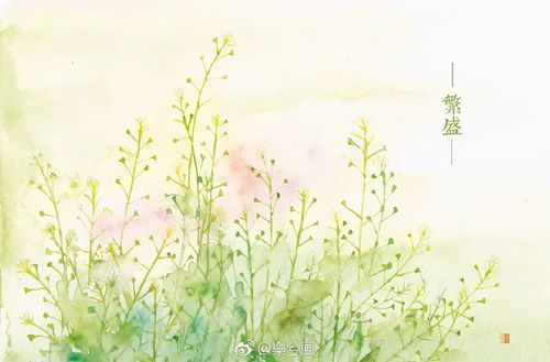 描写满天星星的句子(形容满天星星的唯美语录)