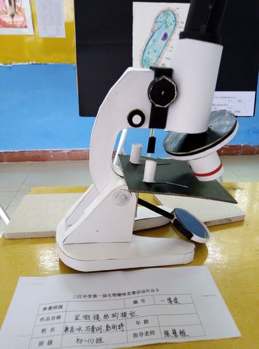 学生制作的显微镜模型.