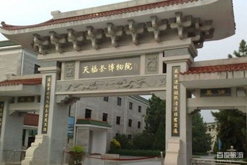 天福茶博院