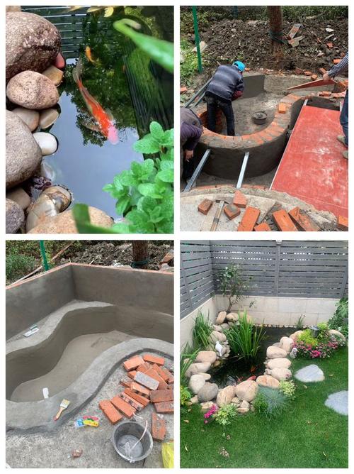 花一万元在院子里建了个原生态鱼池太漂亮了