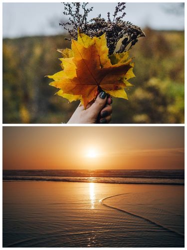 《深秋的早晨》