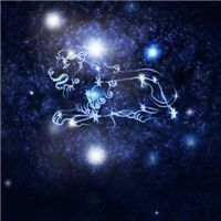 适合狮子座微信的头像_微信头像图片大全