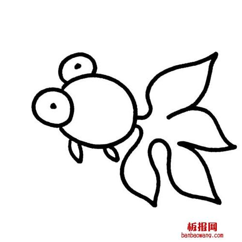 金鱼的简单画法画一条金鱼