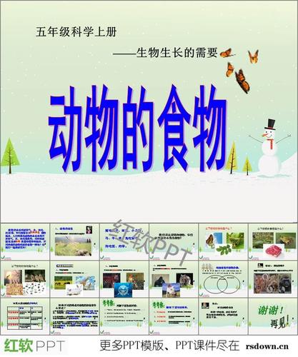 动物的食物ppt下载