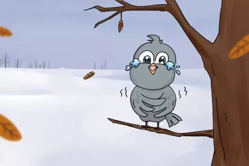 注:鼯鼠俗称寒号鸟. (201