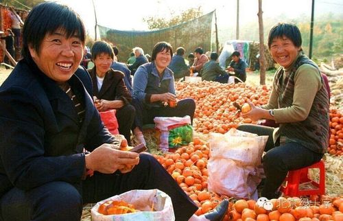 目前,乡村工作有一大部分实践是花在吃喝上,花在与农民与村干部的聊天