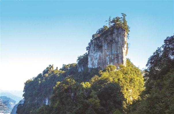 促进大方县旅游产业又好又快发展,同时庆祝景区开游5周年,油杉河景区