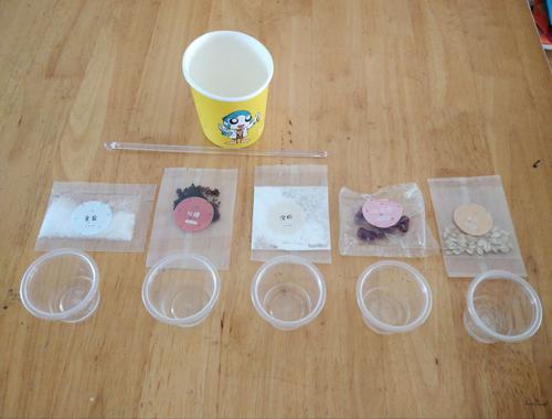 小实验大智慧《奇妙的溶解》——都市华城幼儿园小一班