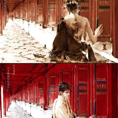 盗墓笔记,藏海花,沙海,老九门系列